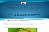 .Slides Entomologia