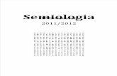 Semiologia 1ºSemestre (1)