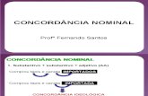 Concordancia Nominal - 14 Regras