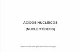aula de ácidos nucléicos