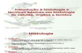 Introdução à histologia e técnicas básicas em histologia