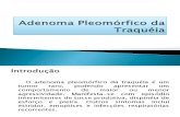 Adenoma Pleomórfico da Traquéia(TRABALHO)