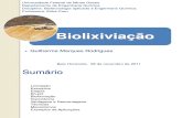 Apresentacao biotecnologia - Biolixiviação