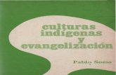 Suess, Pablo - Culturas Indigenas y Evangelizacion