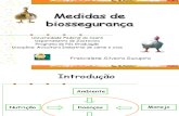 Medidas de biossegurança
