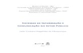 Sistema de informação e comunicação no setor publico