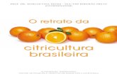 o Retrato Da Citricultura Brasileira Baixa