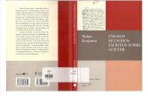 BENJAMIN, Walter - Ensaios Reunidos - Escritos Sobre Goethe