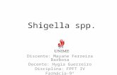 Shigella Spp (1)