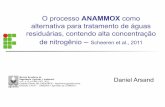 O Processo ANAMMOX no Tratamento de Aguas Residuarias
