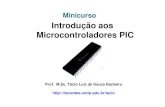 Minicurso PIC