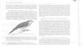 Ornitologia Brasileira - Helmut Sick 2ed-02