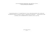 OPERAÇÃO E CONTROLE DA PRODUÇÃO DE ÁGUA PURIFICADA_monografia_Julia  - Estudo de Caso