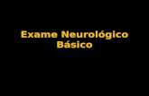 exame neurologico basico