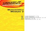 Terceirão FTD - Matematica - Caderno de Atividades 02