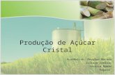 Produção de Açúcar Cristal