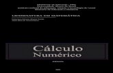 Cálculo Numérico - Francisco & Jânio - IFECT-CE EaD