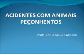 ACIDENTES COM ANIMAIS PEÇONHENTOS....