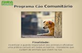 Programa Cão Comunitário