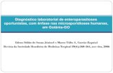 Diagnóstico laboratorial de enteroparasitoses oportunistas
