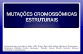 Mutação Cromossomica Estrutural
