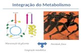 integração metabólicaset2012 (1)