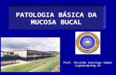 Histopatologia Básica-Mucosa Bucal