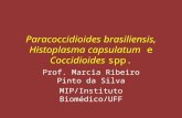 Paracoccidioides Brasiliensis, Histoplasma Capsulatum e Coccidioides Spp Atualizado Maio de 2012