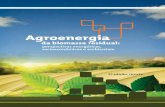 Agroenergia biomassa residual