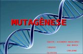 Trabalho de Toxicologia - Mutagênese