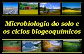 Aula Ciclos Biogeoquimicos
