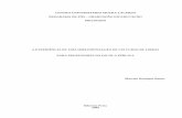 115.pdf dissertação Marcelo