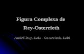1205343737 Figura Complexa de Rey