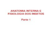 109378082 Anatomia Interna e Fisiologia Dos Insetos Parte 1