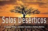 Apresentação solos deserticos