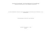 Leonardo -Monografia - Recorribilidade Das Decisoes Interlocutorias - Leonardo Souto VERSAO FINAL