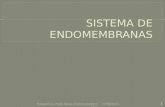 Aula 2 - Sistema de Endomembranas