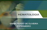 Slide - Aula Hematologia