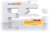 OAB2009-Direito Civil e Processo Civil