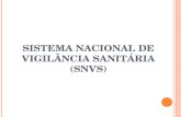 Aula 1b Sistema Nacional de Vigilância Sanitária (SNVS)