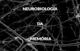 NEUROBIOLOGIA DA MEMÓRIA