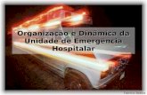 2_1 Organização e Dinâmica da Unidade de Emergência Hospitalar
