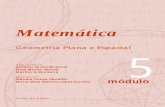 Matemática - Módulo 5 - Geometria Plana e Espacial