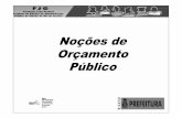 Noções de orçamento público LDO LDA... .pdf