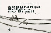 Seguranca Publica No Brasil