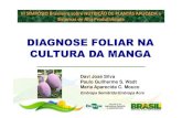 Diagnose Foliar Mangueira