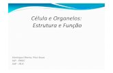 Domingos Oliveira - Celula e Organelos Estrutura e Funcao
