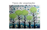 Árvores brasileiras