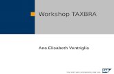 Workshop TAXBRA
