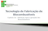 Capitulo 1 - Tipos e as Geracoes Dos Biocombustiveis (1)